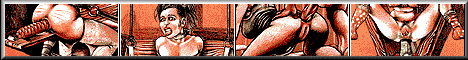 ★Free BDSM Comics and Artworks★
